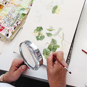 watercolor painting classes