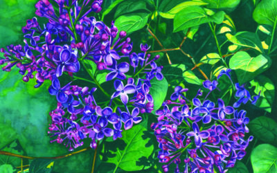 MN Watercolor Society Spring Exhibition: Spring Forth